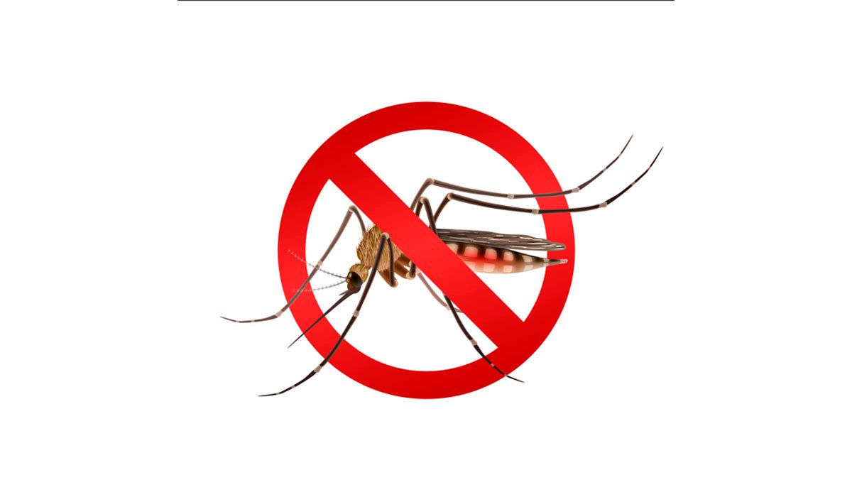 Mitos del Dengue que Aumentan el Riesgo